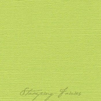 Bazzill Leinenstruktur CS "Parakeet"